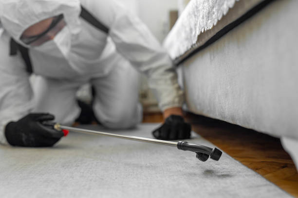 Professional Bed Bug Control technician working in Coal Valley, IL