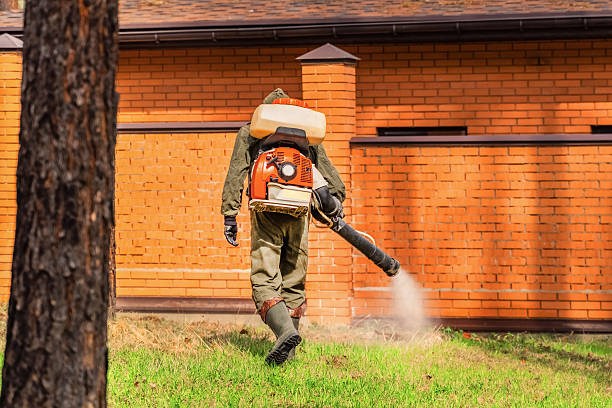 Trusted Ant Control service in Coal Valley, IL - Nex Pest Control